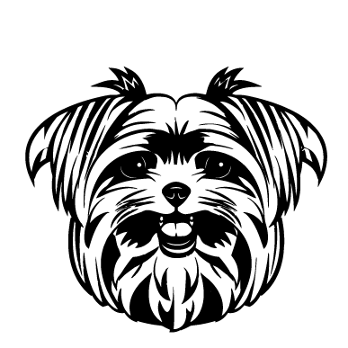 Йорк 1